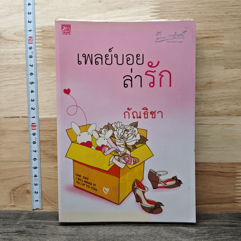 เพลย์บอยล่ารัก - กัณธิชา รูปที่ 1