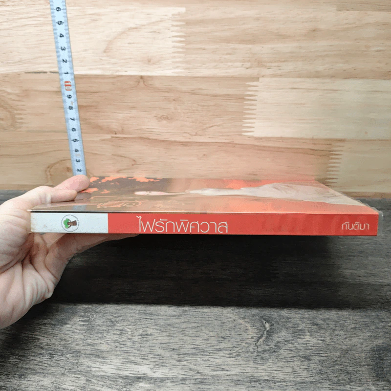 หนังสือ ไฟรักพิศวาส รูปที่ 2