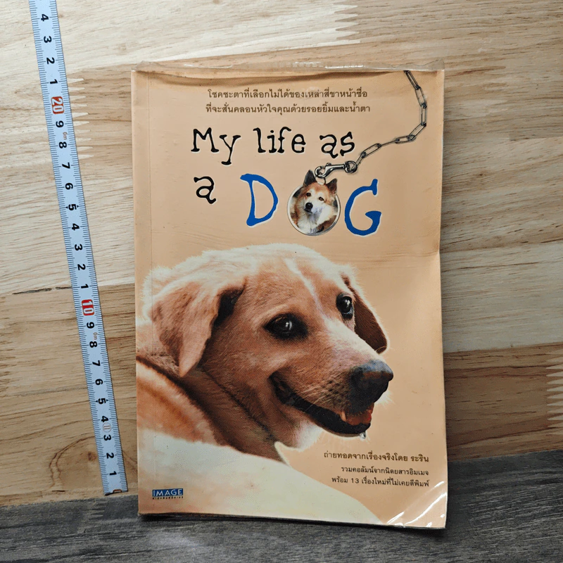 My Life as a Dog - ระริน รูปที่ 1