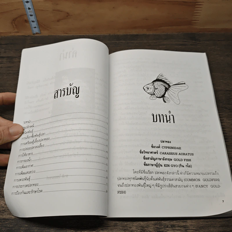 ปลาทอง - ชาติ ไชยณรงค์ รูปที่ 7