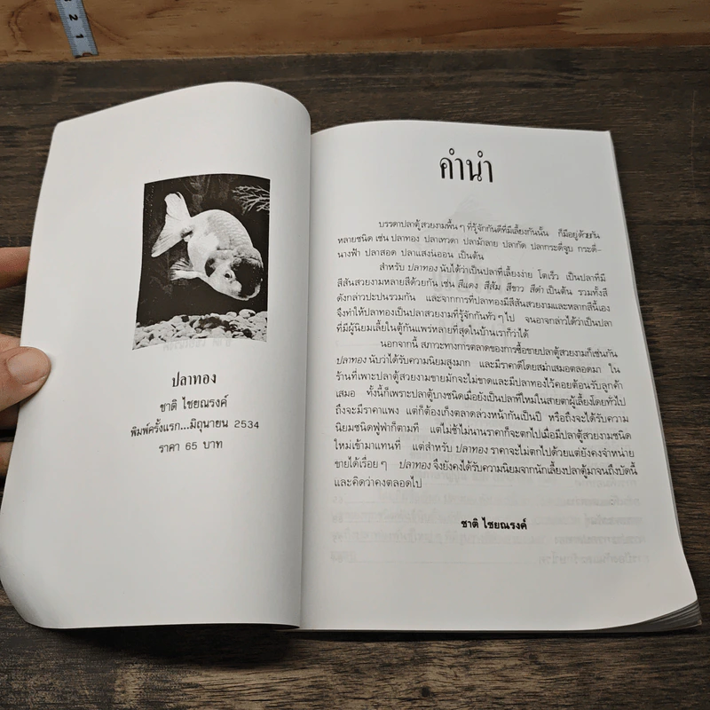 ปลาทอง - ชาติ ไชยณรงค์ รูปที่ 6
