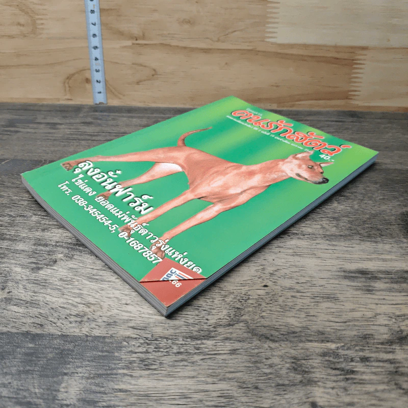 นิตยสารตนรักสัตว์ ปีที่ 2 ฉบับที่ 19 ม.ค.2545 รูปที่ 3