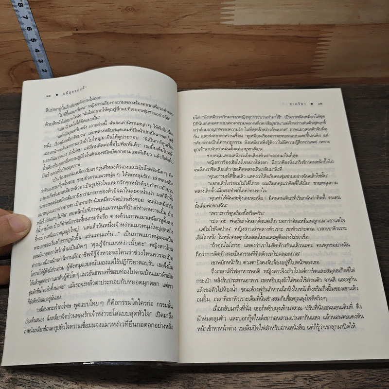 แม้สุดขอบฟ้า - ชาครียา รูปที่ 7