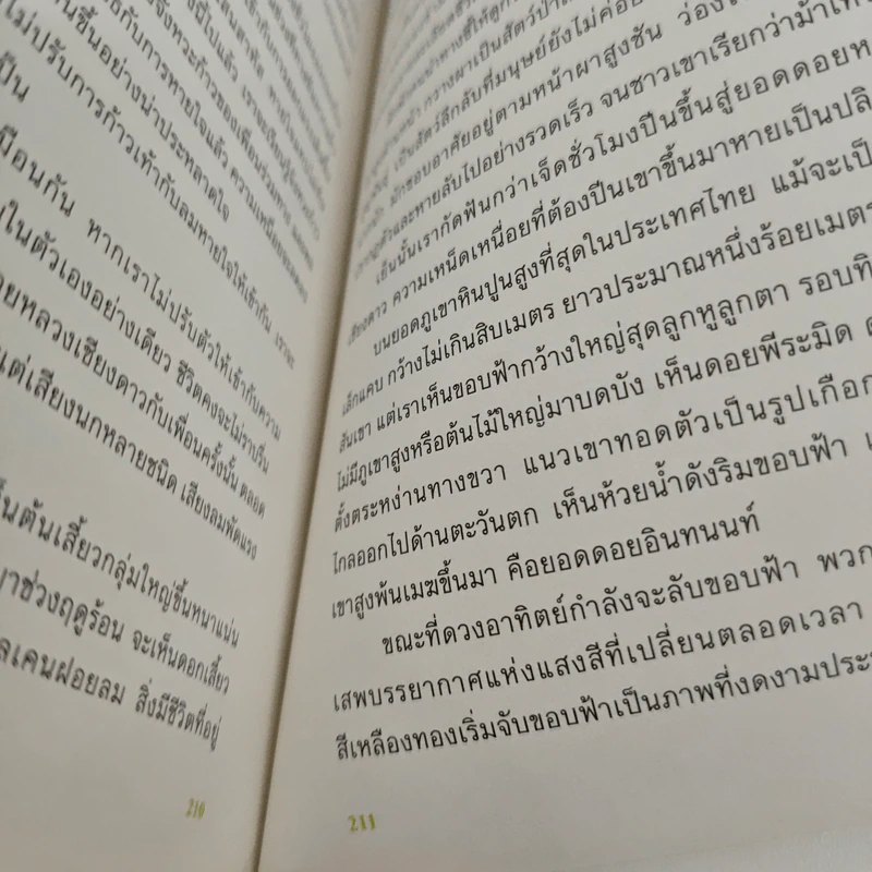 Wild Side ในนามของธรรมชาติ - วันชัย ตันติวิทยาพิทักษ์ รูปที่ 9