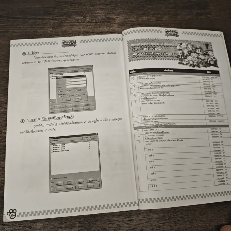 HARVEST MOON Friends of Mineral Town คู่มือการดำเนินชีวิตในบ้านไร่ที่สมบูรณ์ สำหรับเวอร์ชั่นภาษาอังกฤษ รูปที่ 9