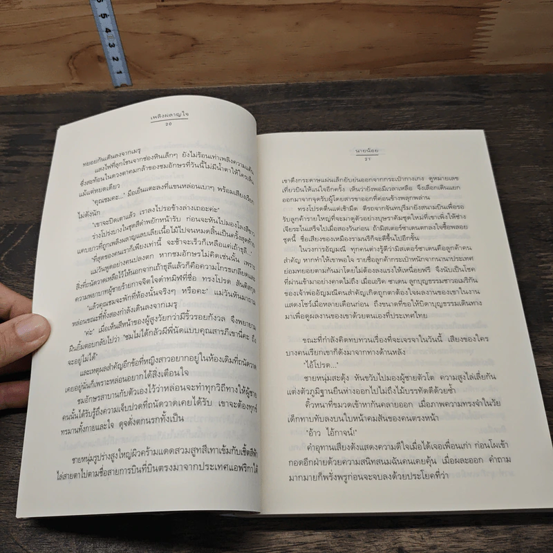 เพลิงพลาญใจ - นายน้อย รูปที่ 7