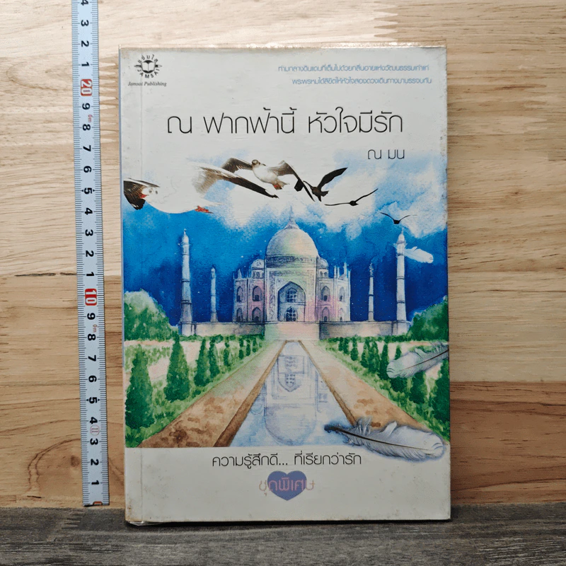ณ ฟากฟ้านี้ หัวใจมีรัก - ณ มน รูปที่ 1