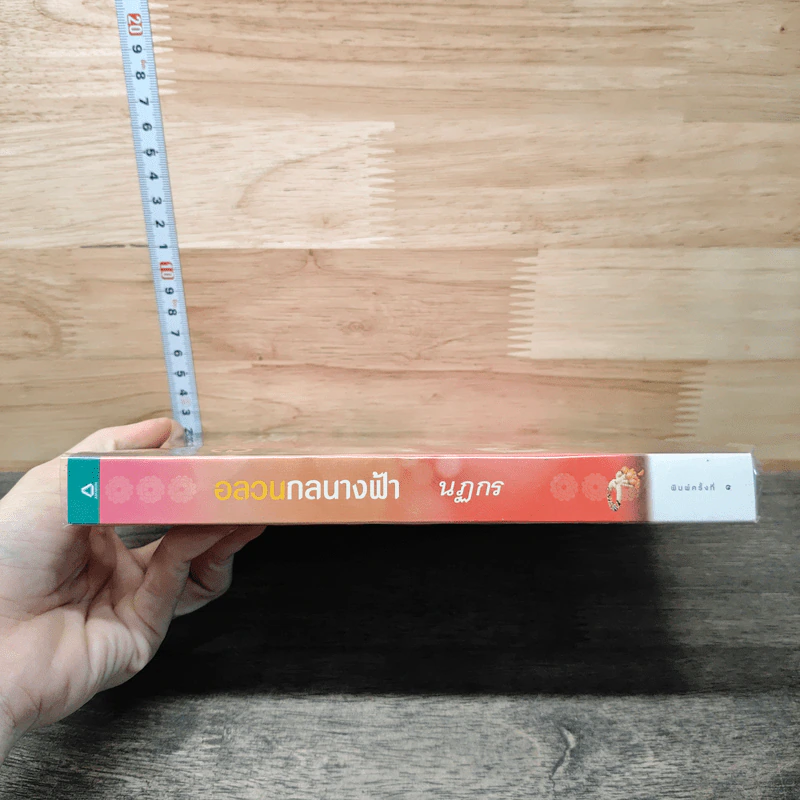 อลวนกลนางฟ้า - นฏกร รูปที่ 2