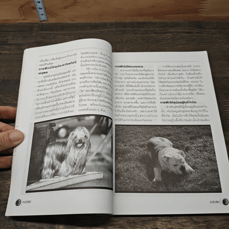นิตยสารตนรักสัตว์ ปีที่ 2 ฉบับที่ 20 ก.พ.2545 รูปที่ 8