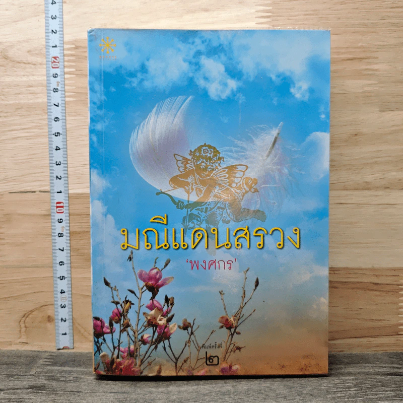 มณีแดนสรวง - พงศกร รูปที่ 1