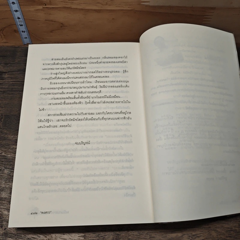 มณีแดนสรวง - พงศกร รูปที่ 8