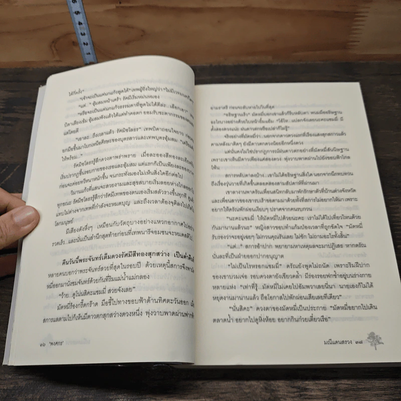มณีแดนสรวง - พงศกร รูปที่ 7