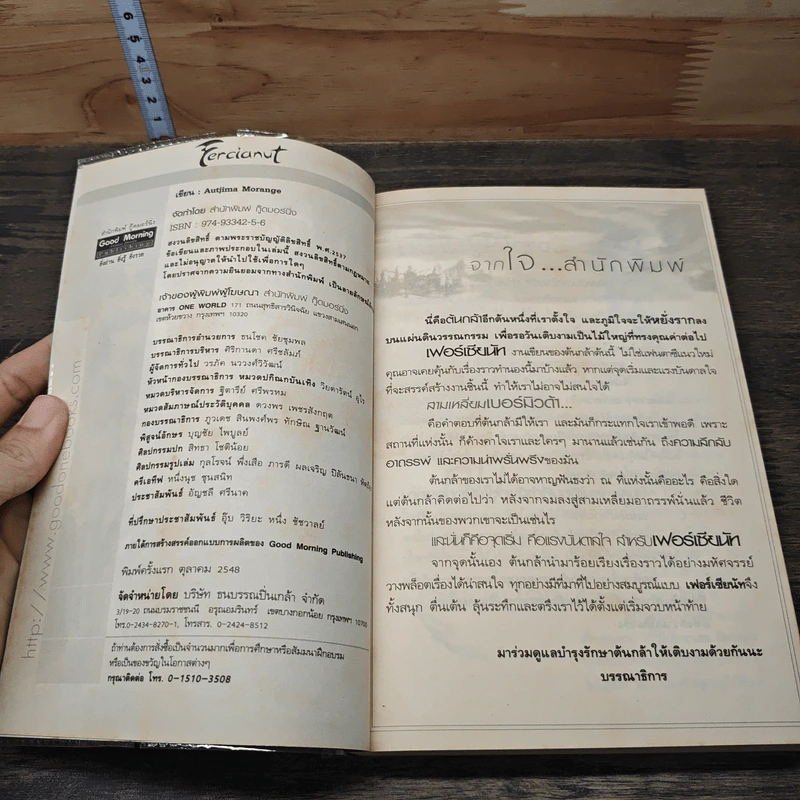 Fercianut เฟอร์เซียนัท มหาอาณาจักรสงครามแห่งมนตรา รูปที่ 6