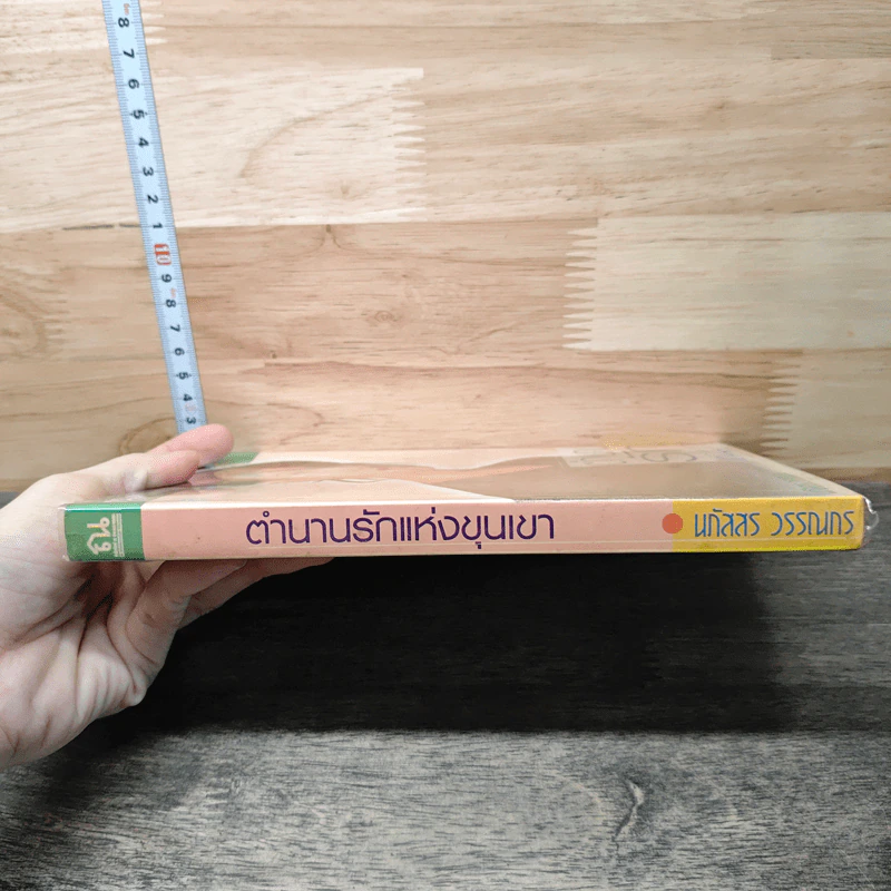 ตำนานรักแห่งขุนเขา - นภัสสร วรรณกร รูปที่ 2