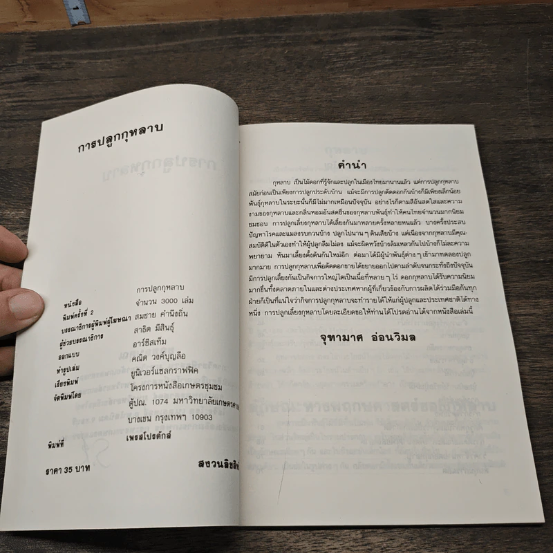 หนังสือ การปลูกกุหลาบ - จุฑามาศ รูปที่ 6
