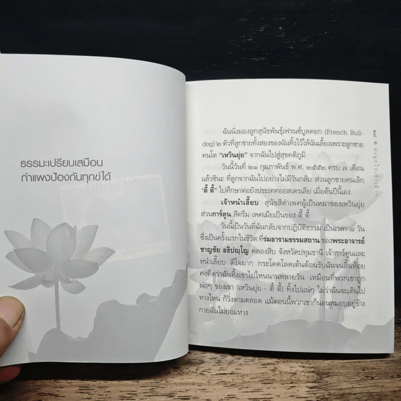 ส่งลูกไปเข้าเฝ้าพระพุทธเจ้า - หทัยภรณ์ กสิกิจนำชัย รูปที่ 8