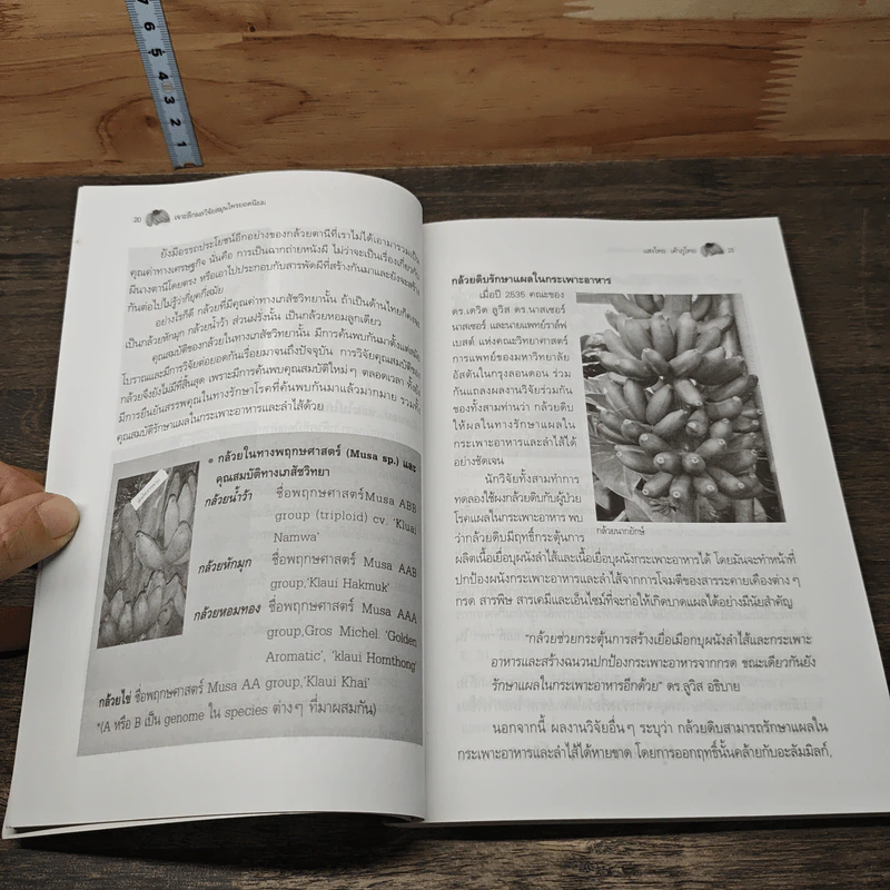 หนังสือ เจาะลึกผลวิจัย สมุนไพรยอดนิยม รูปที่ 9