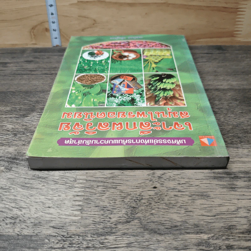 หนังสือ เจาะลึกผลวิจัย สมุนไพรยอดนิยม รูปที่ 4