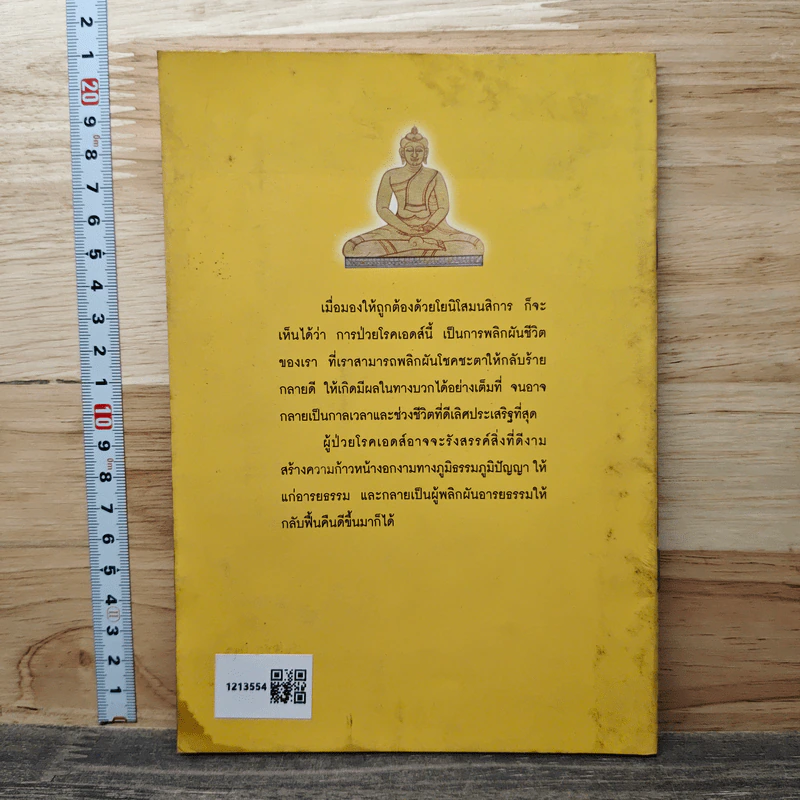 ธรรมะชนะเอดส์ - พระธรรมปิฎก รูปที่ 5