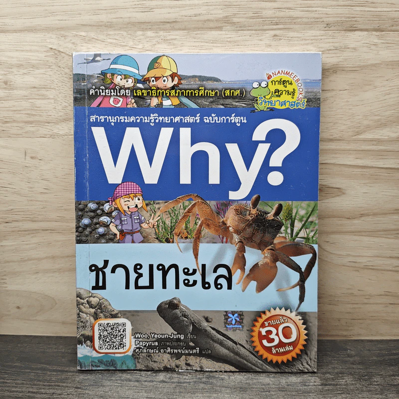 Why? ชายทะเล รูปที่ 1