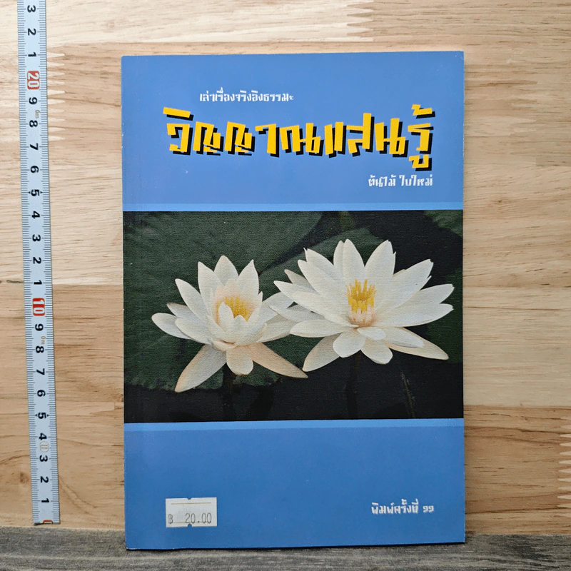 เล่าเรื่องจริงอิงธรรมะ : วิญญาณแสนรู้ - ต้นไม้ ใบใหม่ รูปที่ 1