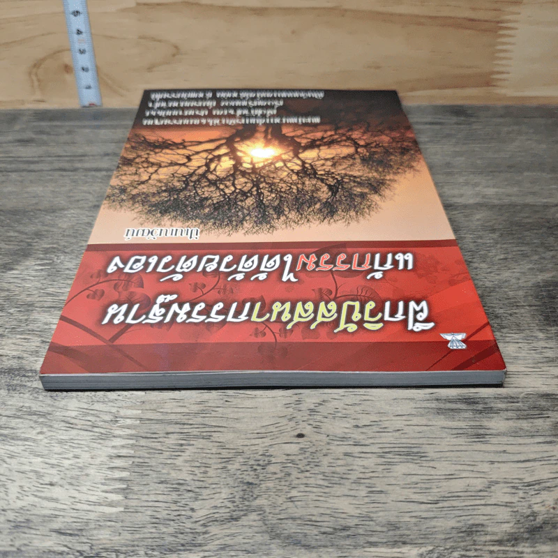 คู่มือฝึกวิปัสสนากรรมฐานฉบับเรียนด้วยตัวเอง - นาน สินธุสวัสดิ์ รูปที่ 4