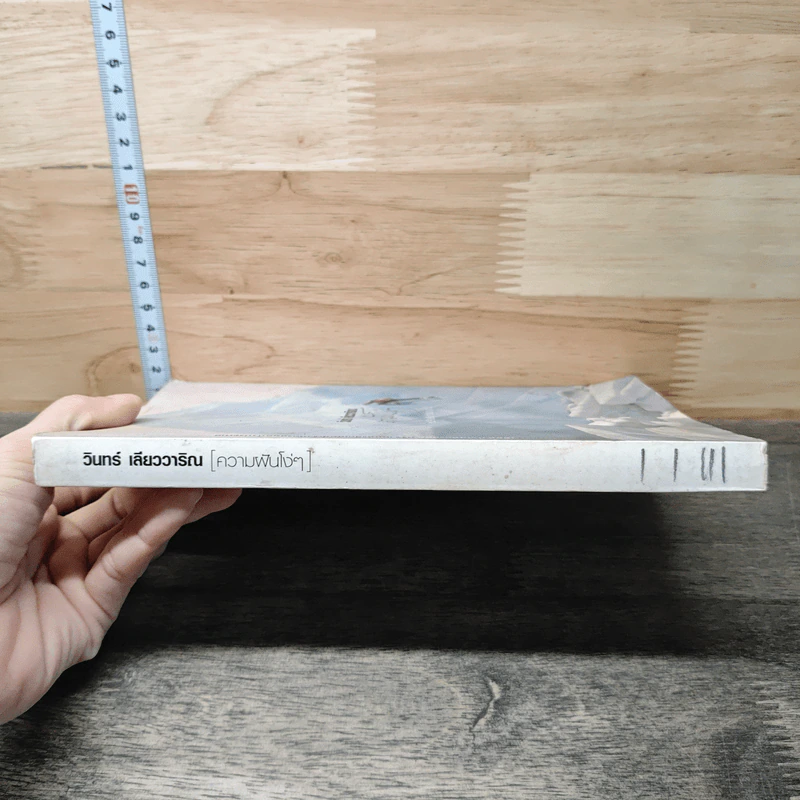 ความฝันโง่ๆ หนังสือเสริมกำลังใจ ชุด 2 - วินทร์ เลียววาริณ รูปที่ 2