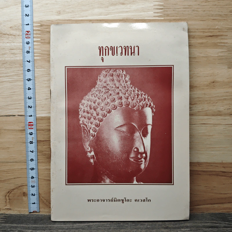 ทุกขเวทนา - พระอาจารย์มิตซูโอะ คเวสโก รูปที่ 1