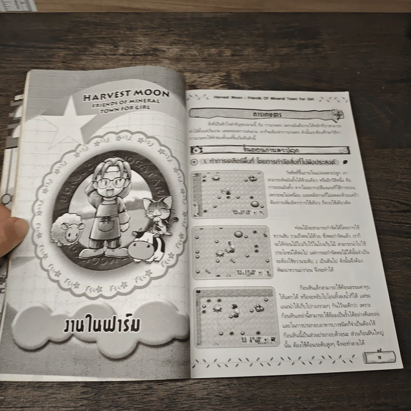 Harvest Moon Friends of Mineral Town รูปที่ 6