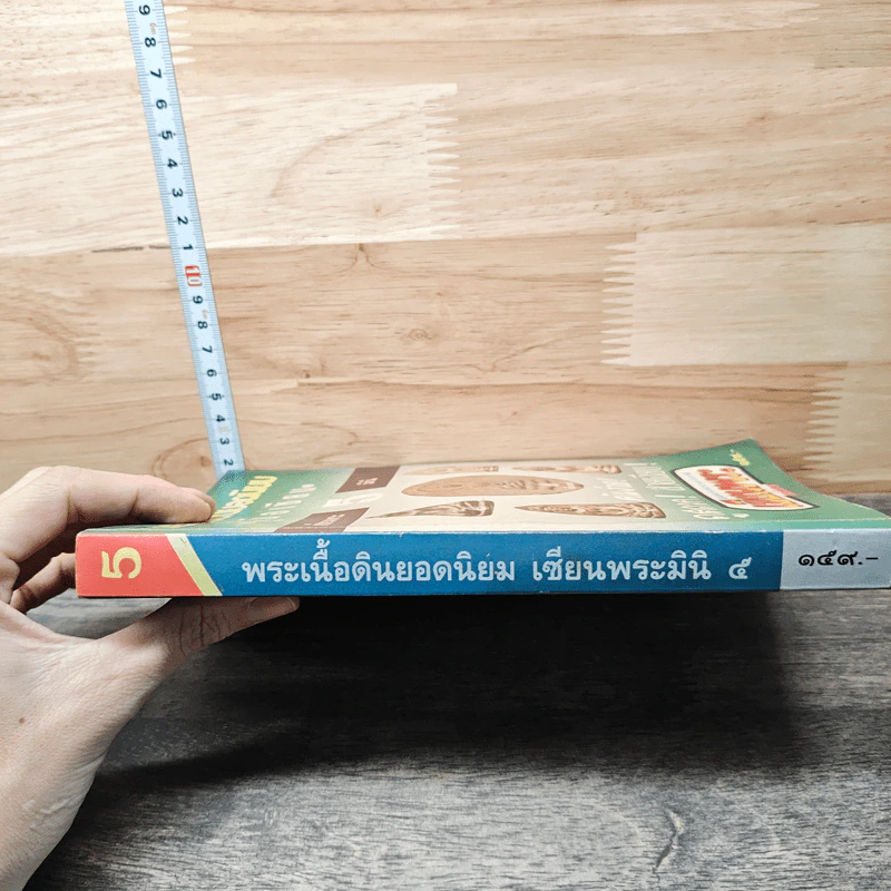 พระเนื้อดินยอดนิยม เซียนพระมินิ 5 รูปที่ 2