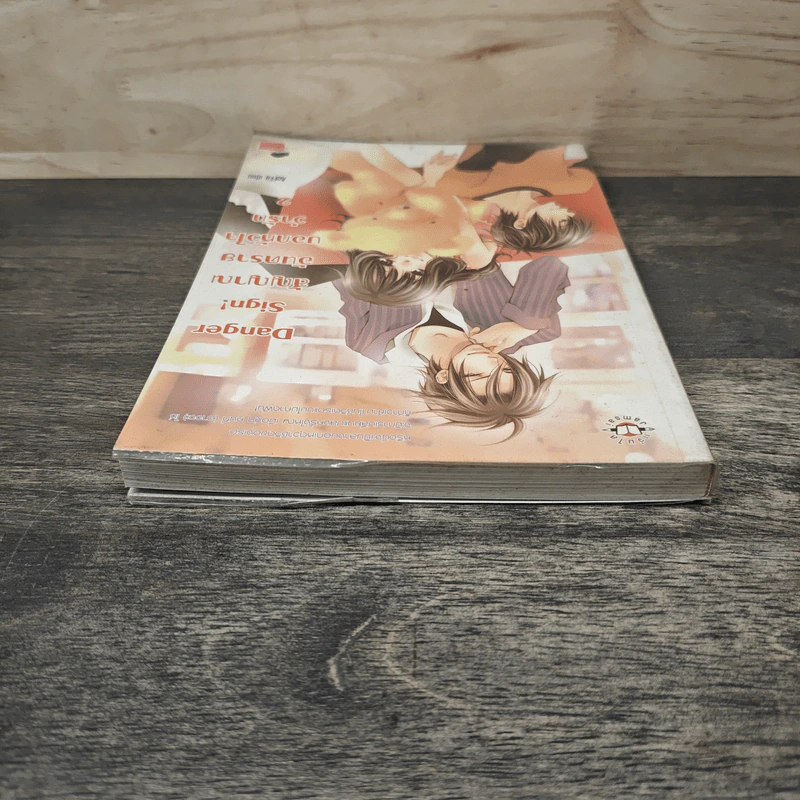 Danger Sign! สัญญาณอันตรายบอกหัวใจว่ารัก เล่ม 2 - AoFFii รูปที่ 4