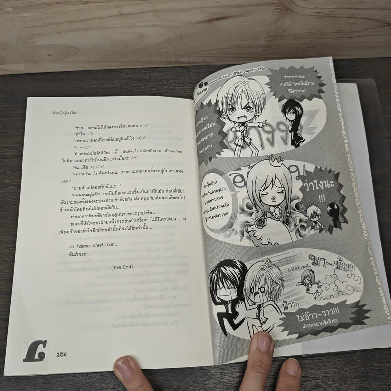 Guardian Knight พิชิตหัวใจคุณชายอัศวิน - เจ้าหญิงผู้เลอโฉม รูปที่ 8