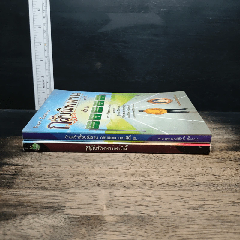 ข้าพเจ้าตั้งปณิธาน กลับนิพานชาตินี้ เล่ม 1-2 รูปที่ 3