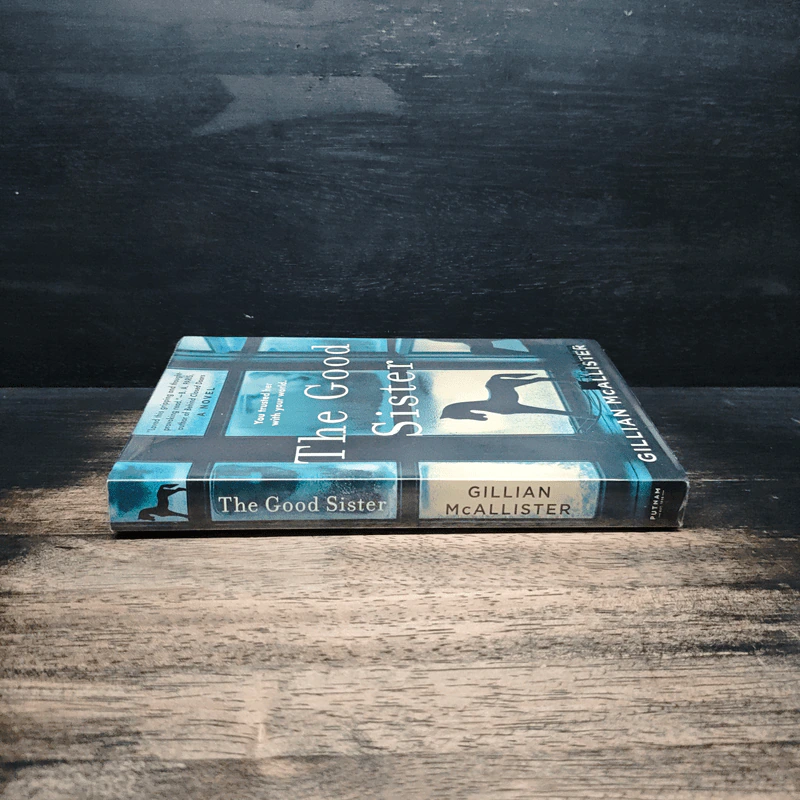 The Good Sister - Gillian McAllister รูปที่ 3