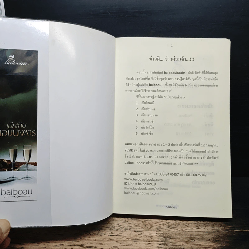 เมียเก็บจอมบงการ - baiboau รูปที่ 6