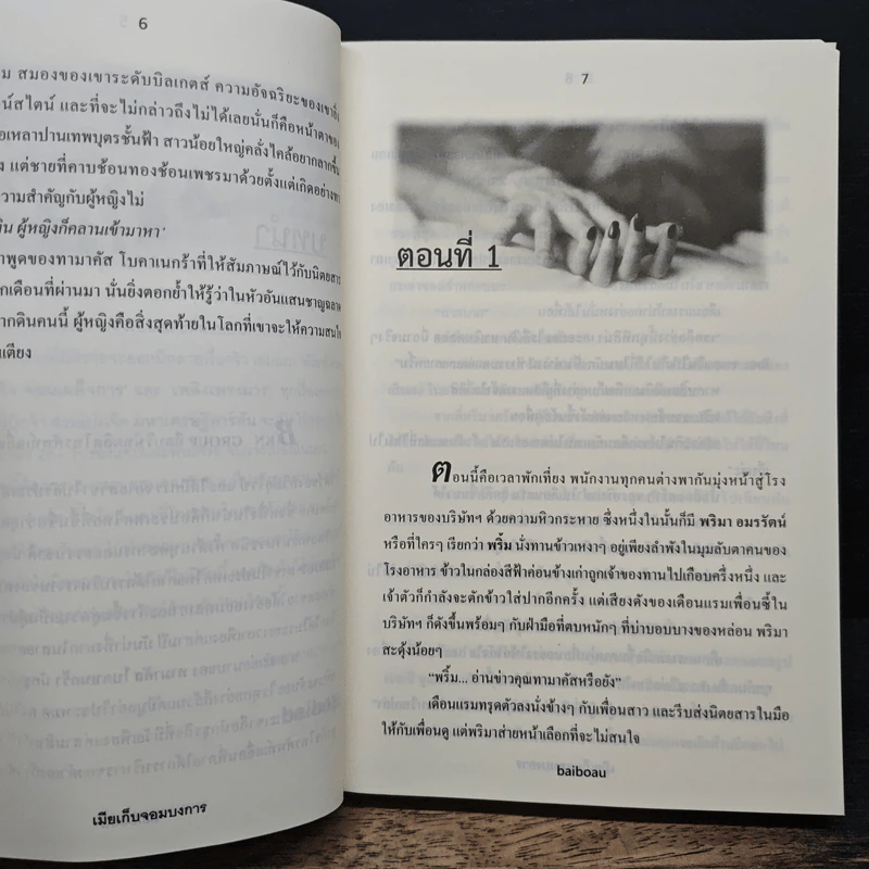 เมียเก็บจอมบงการ - baiboau รูปที่ 7