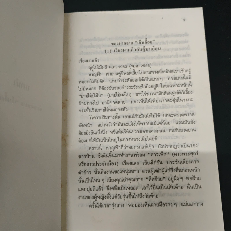 จอมนางน่านเจ้า 2.สืบสาย"เผ่าไทน้อย" - ประมวญ ดิคคินสัน รูปที่ 8