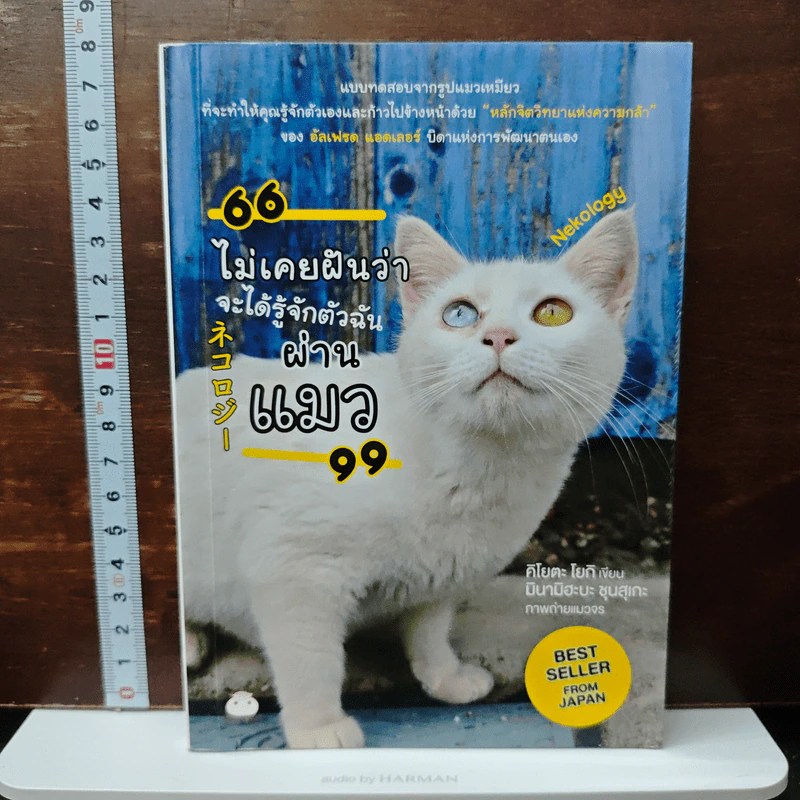 ไม่เคยฝันว่าจะได้รู้จักตัวฉันผ่านแมว - Kiyota Yoki (คิโยตะ โยกิ) รูปที่ 1