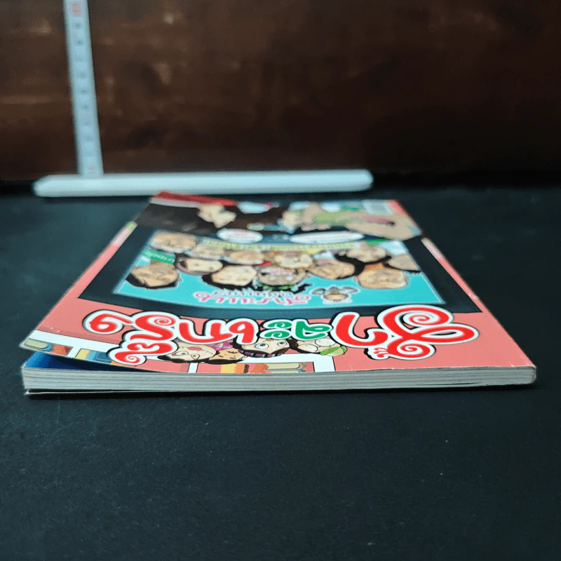 ฮาจะเกร็ง ฉบับที่ 34 ปักษ์หลัง มีนาคม 2554 รูปที่ 5
