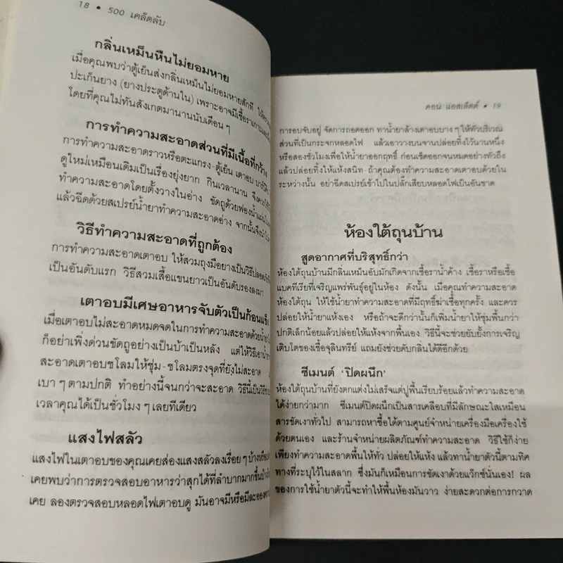 500 เคล็ดลับพิชิตความสกปรก - ดอน แอสเล็ดด์ รูปที่ 8