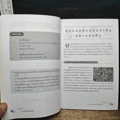 ธุรกิจส่งออกผักสดแช่เย็นและแช่แข็ง รูปที่ 8
