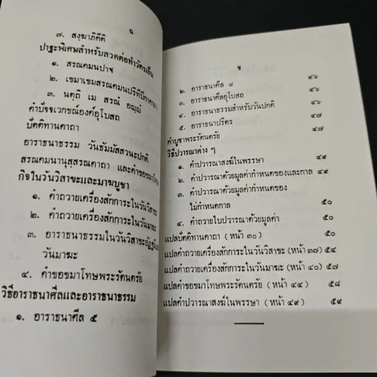วิธีรักษาอุโบสถ รูปที่ 7