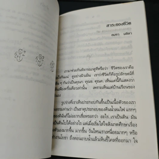สาระของชีวิต - อมรา มลิลา รูปที่ 6