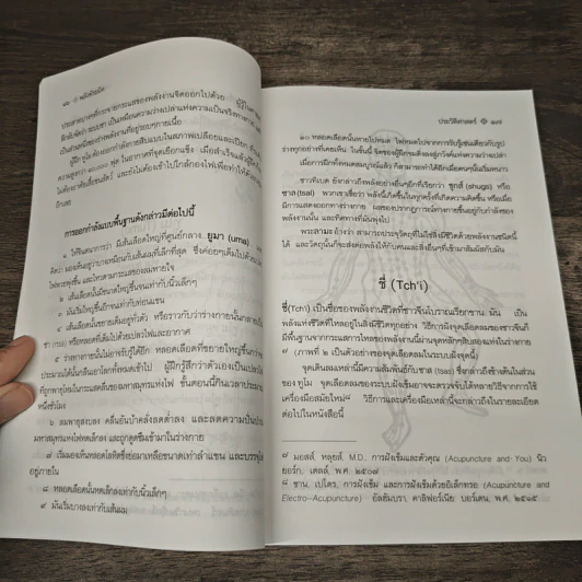 Power of Pyramid พลังพีระมิด - สิงห์คำ โต๊ะงาม รูปที่ 7