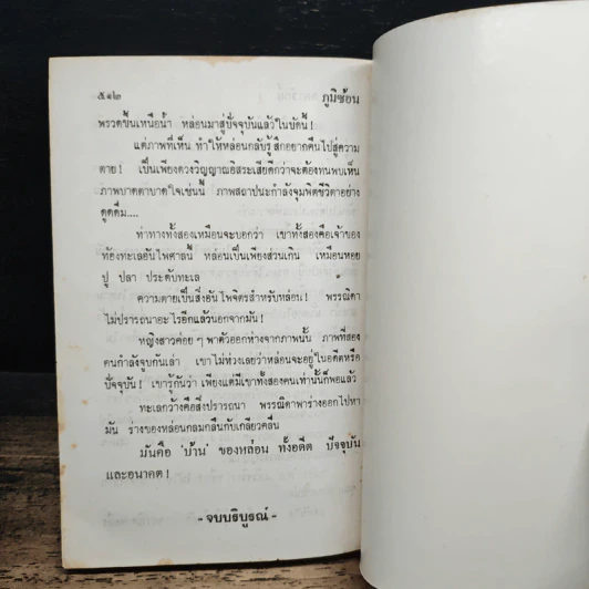 ภูมิซ้อน - ศรีทอง ลดาวัลย์ รูปที่ 9