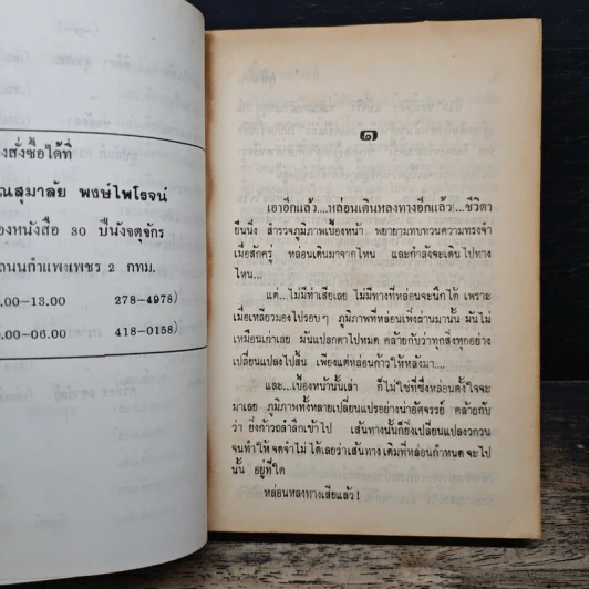 ภูมิซ้อน - ศรีทอง ลดาวัลย์ รูปที่ 7
