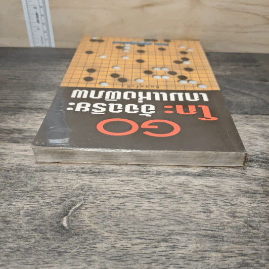 Go โกะ อัจฉริยะเกมแห่งพิภพ - วันชัย ประชาเรืองวิทย์ รูปที่ 4