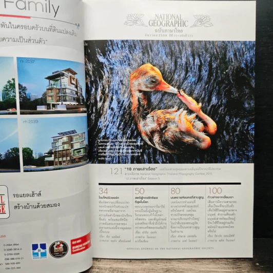 National Geographic ฉบับที่ 173 ธ.ค.2558 รูปที่ 7