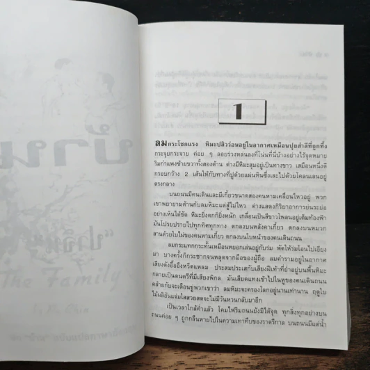 บ้าน - ปาจิน (วรรณกรรมชิ้นเอกของจีน) รูปที่ 10