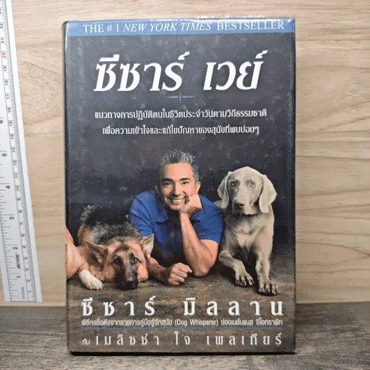 ซีซาร์ เวย์ - ซีซาร์ มิลลาน, เมลิซซ่า โจ เพลเทียร์ รูปที่ 1